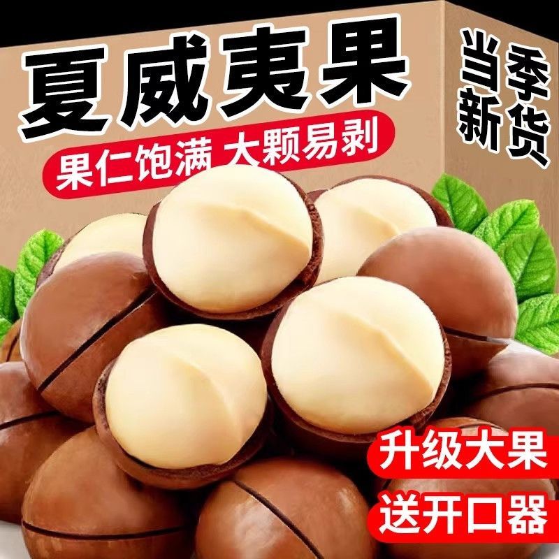 新货夏威夷果大颗粒颗粒饱满奶香味十足支持电商一件代发批量拿货