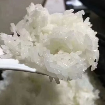 五常稻花香大米