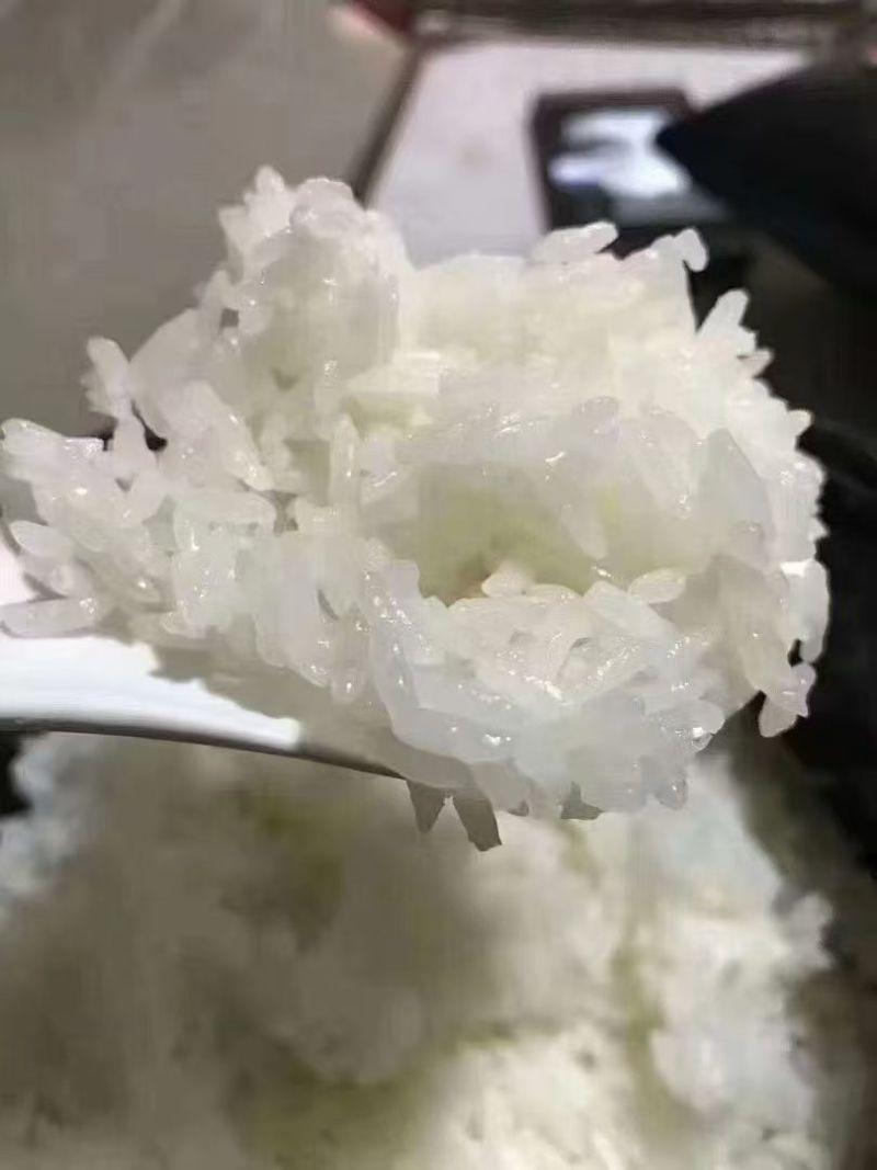 五常稻花香大米