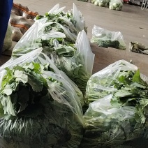 油菜苔