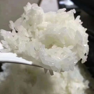 五常稻花香二号大米