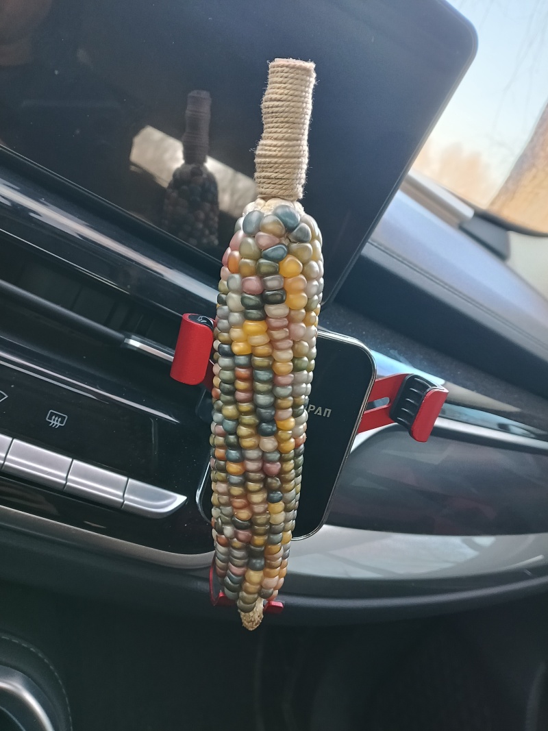 文玩玉米