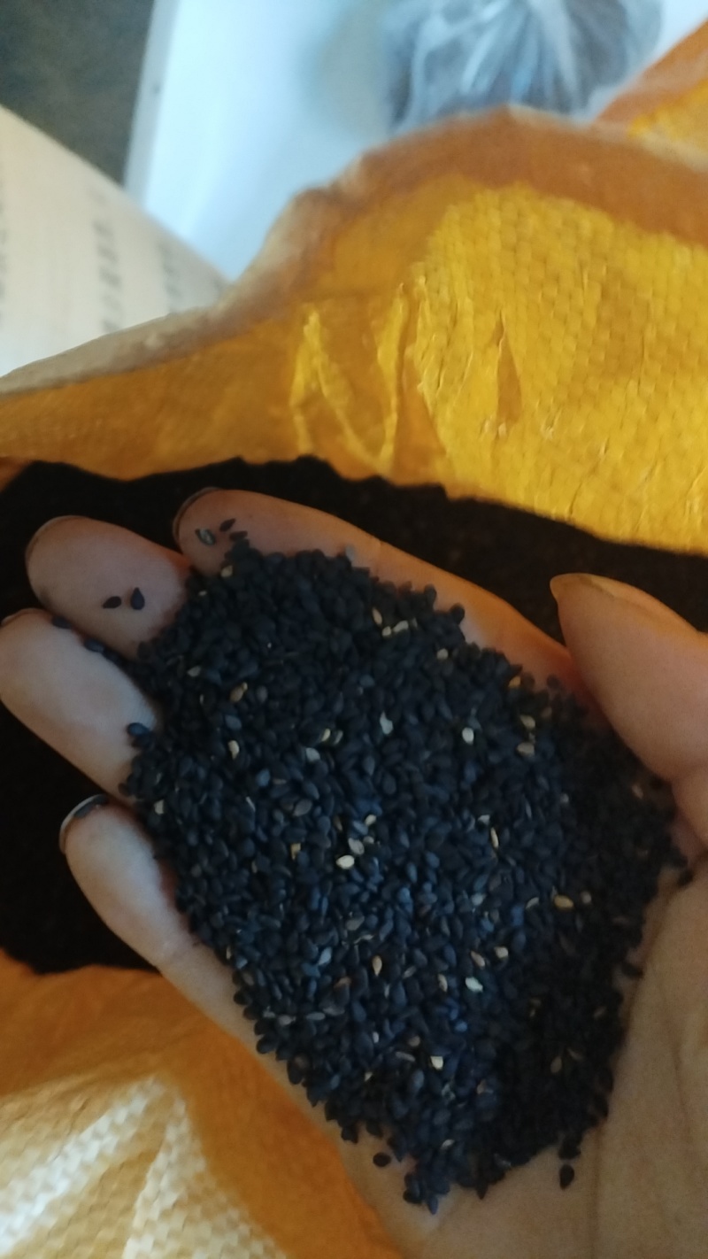 黑芝麻自己中的***没打过农药没施过化肥
