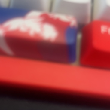 油松