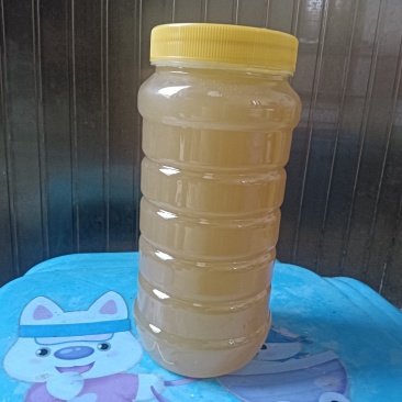 纯蜂蜜