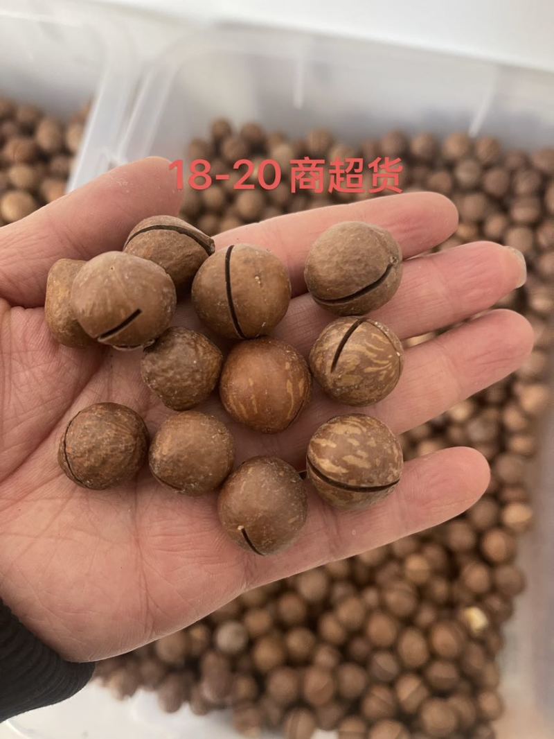 夏威夷果，源头厂家，支持一件代发，拉大货，有量有价，包退货！