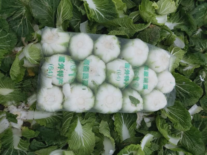 黄芯大白菜