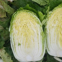 黄芯大白菜