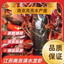 清水塘龙虾