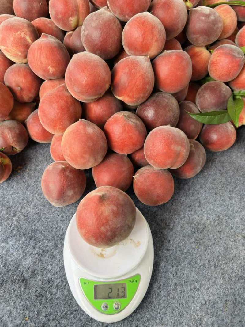 精品优质红桃