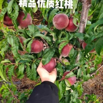 精品优质红桃
