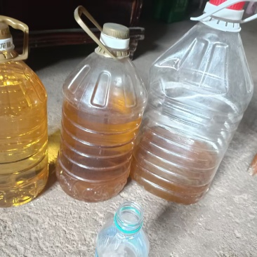自家种的茶子油