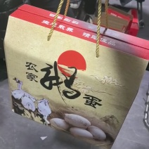 纯散养土鹅蛋，每天能拣300多枚