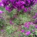 老板需要好高冠好多，欢迎大量下单啊