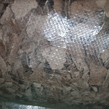 花生麸，有老麸有嫩麸
