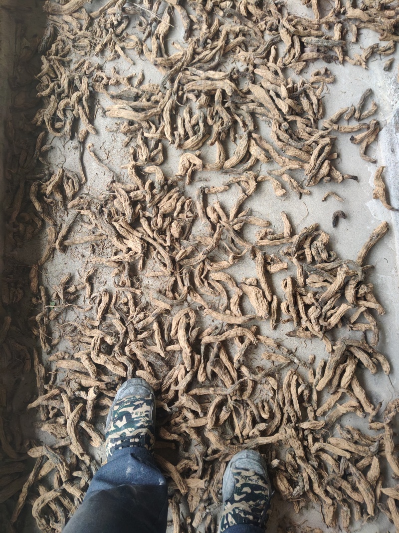 自家种植玄参，保质保量