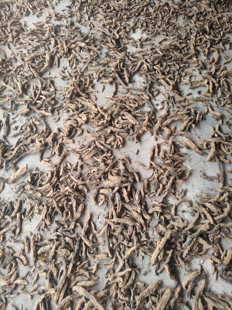 自家种植玄参，保质保量