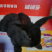 兔子