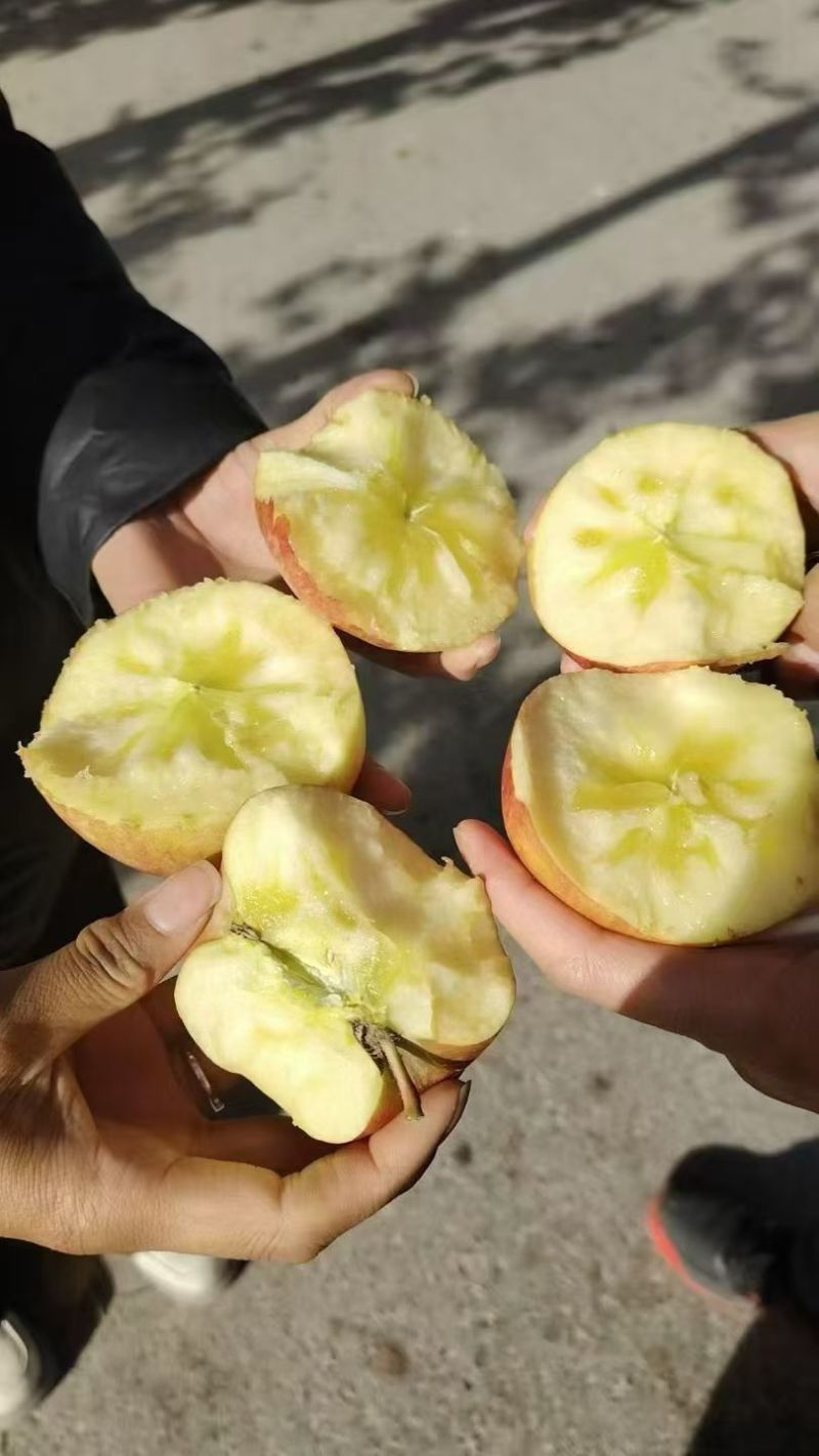 阿克苏红旗坡冰糖心苹果