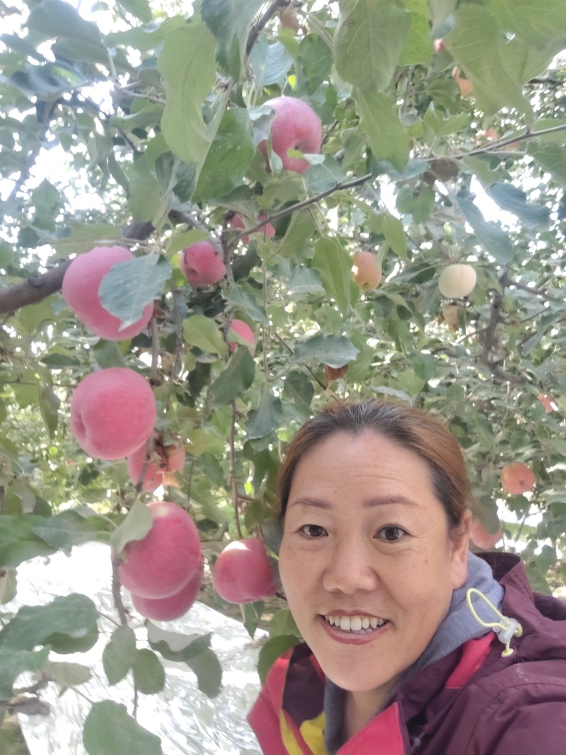 阿克苏红旗坡冰糖心苹果