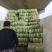 黄芯大白菜4567规格矮颗高颗都有货大量供应