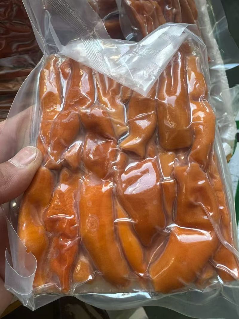 海肠