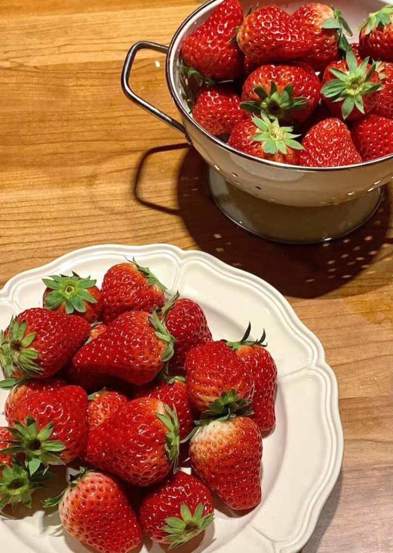 昌黎久久草莓香甜可口软糯大量供应批发价格优惠