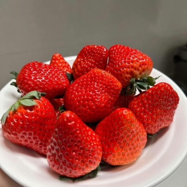 昌黎久久草莓香甜可口软糯大量供应批发价格优惠