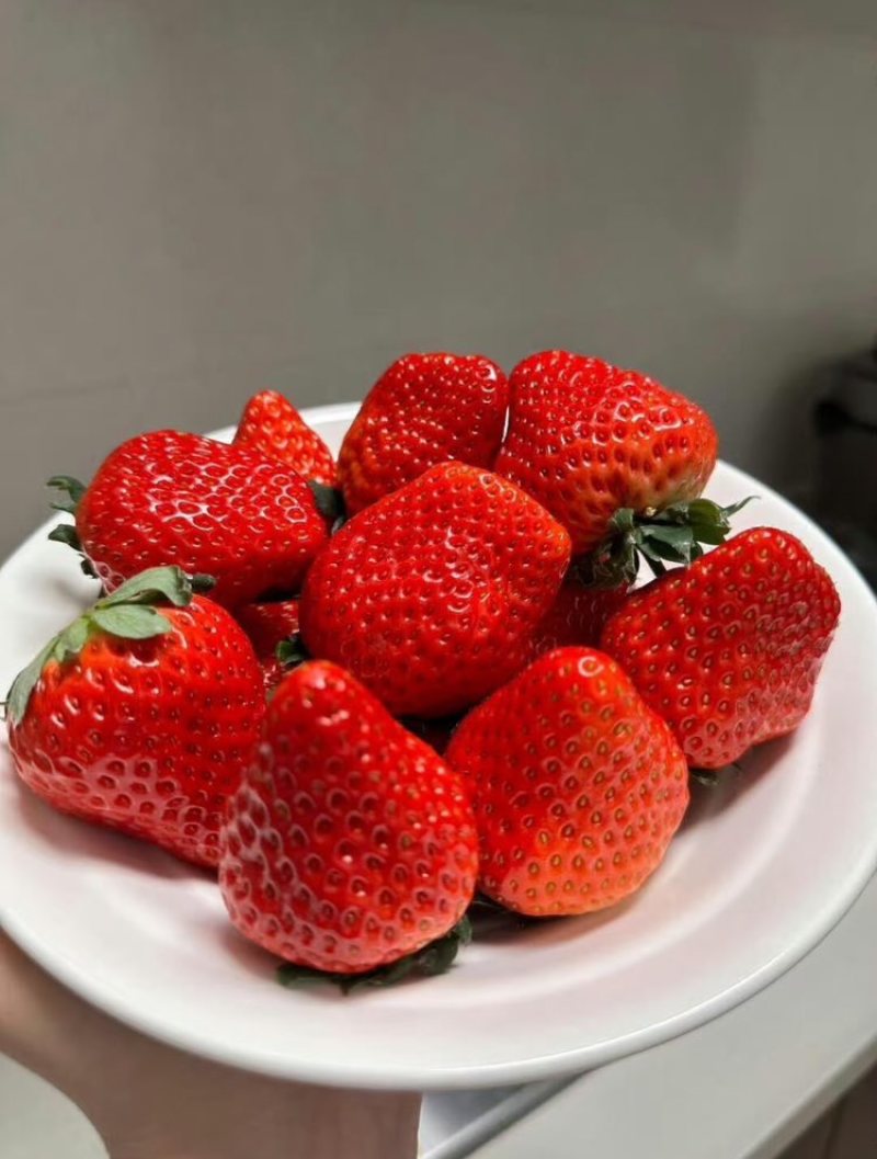 昌黎久久草莓香甜可口软糯大量供应批发价格优惠