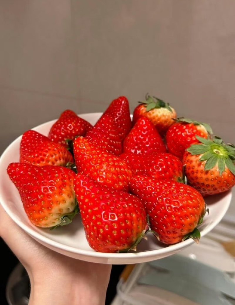 昌黎久久草莓香甜可口软糯大量供应批发价格优惠
