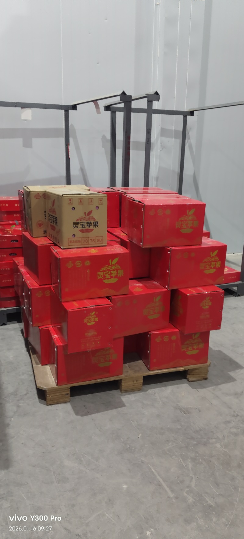 精品