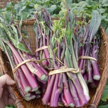 油菜苔