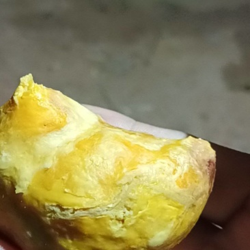 刚刚得到的鸡宝