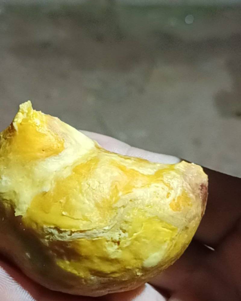 刚刚得到的鸡宝