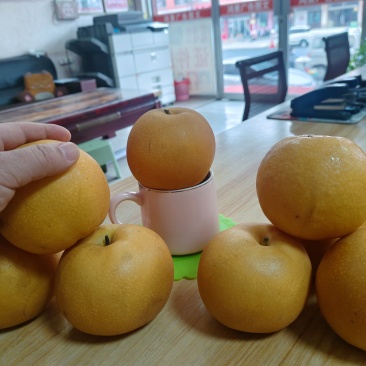 秋月梨