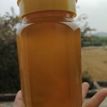 野生蜂蜜