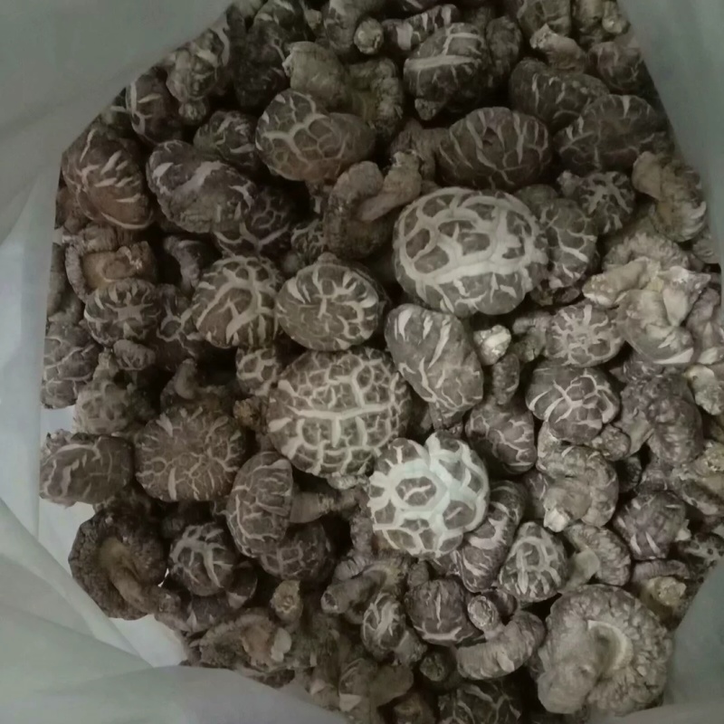 湖北随州香菇