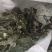 大连海菜边角料，海参鲍鱼饲料菜