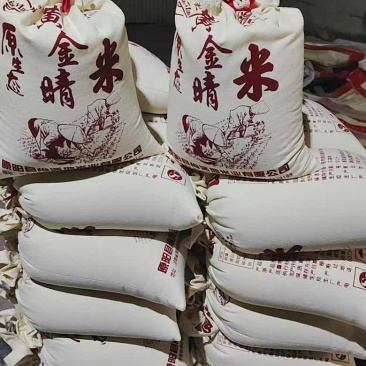 【有活动】原阳大米黄河水灌溉产地直发量大价优支持视频看货