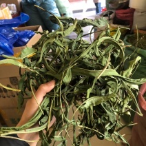 化石草