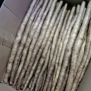 小白嘴山药新鲜山药带土水洗产地直发一手货源
