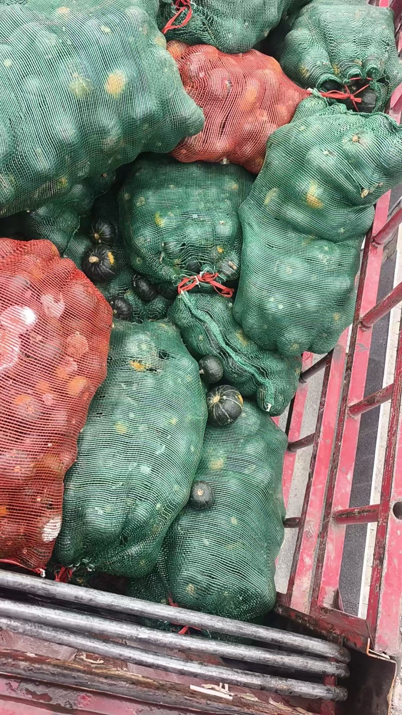 贝贝南瓜
