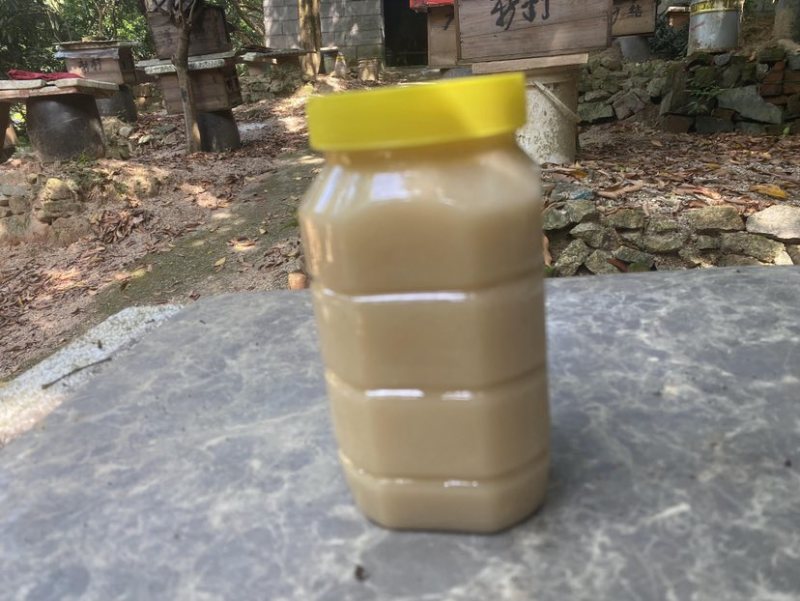 中华土蜂蜜鸭脚木冬蜜野生中蜂蜜土蜂蜜冬季特有鸭脚木冬蜜百花蜜