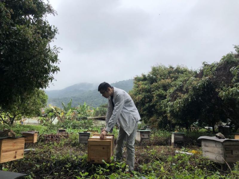 中华土蜂蜜鸭脚木冬蜜野生中蜂蜜土蜂蜜冬季特有鸭脚木冬蜜百花蜜