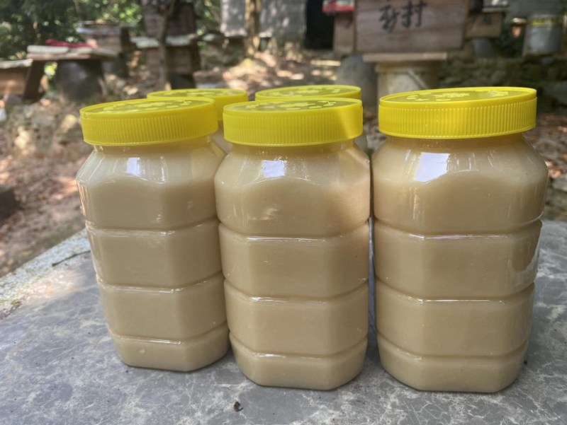 中华土蜂蜜鸭脚木冬蜜野生中蜂蜜土蜂蜜冬季特有鸭脚木冬蜜百花蜜