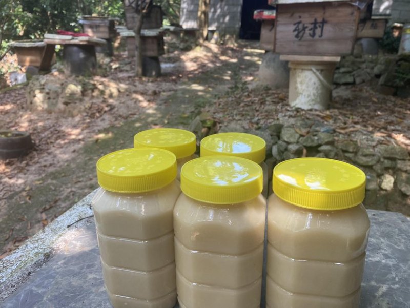 中华土蜂蜜鸭脚木冬蜜野生中蜂蜜土蜂蜜冬季特有鸭脚木冬蜜百花蜜