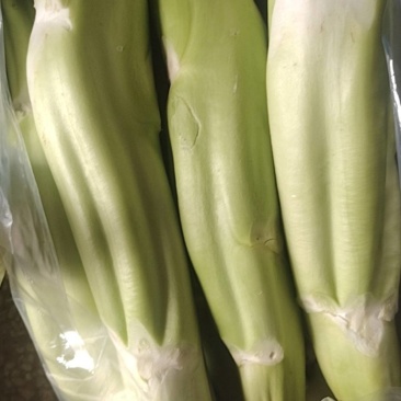 菜头