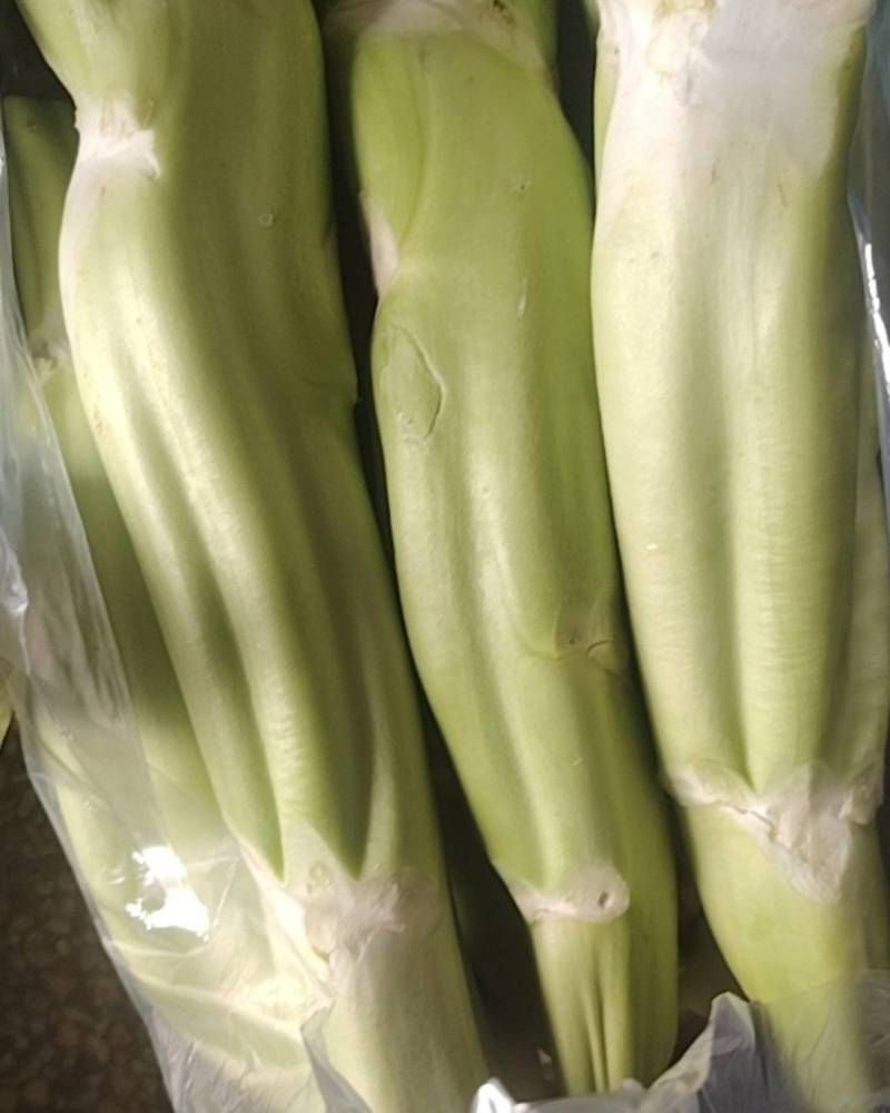 菜头