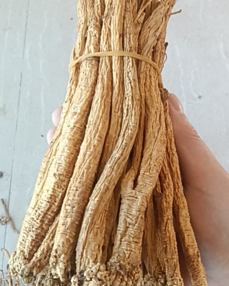 贵州大白条党参
