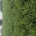 中国四川省自贡市荣县乐德镇李晏乡